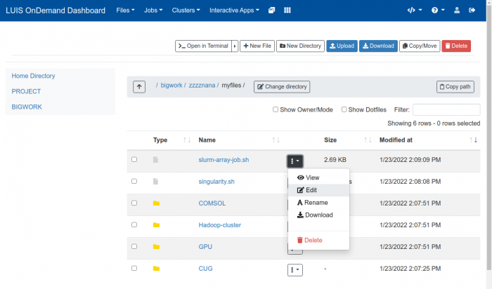  Cluster web portal, file manager